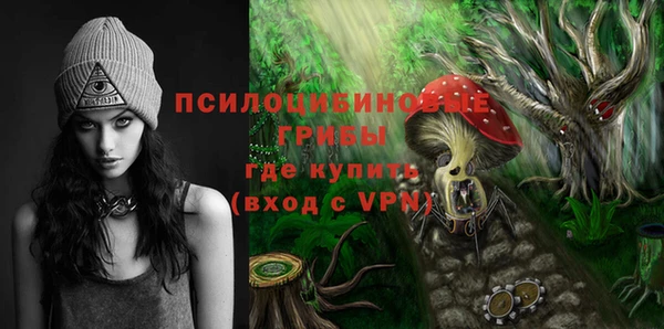 стаф Беломорск