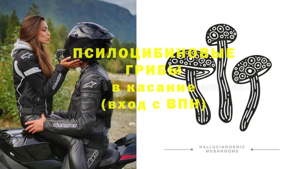 стаф Беломорск