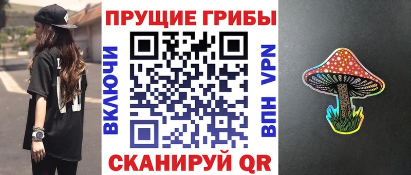 MEGA зеркало  Вытегра  Галлюциногенные грибы MAGIC MUSHROOMS 