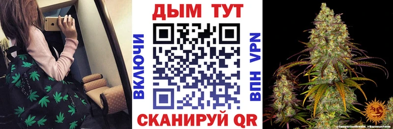 Бошки марихуана Amnesia  Вытегра 